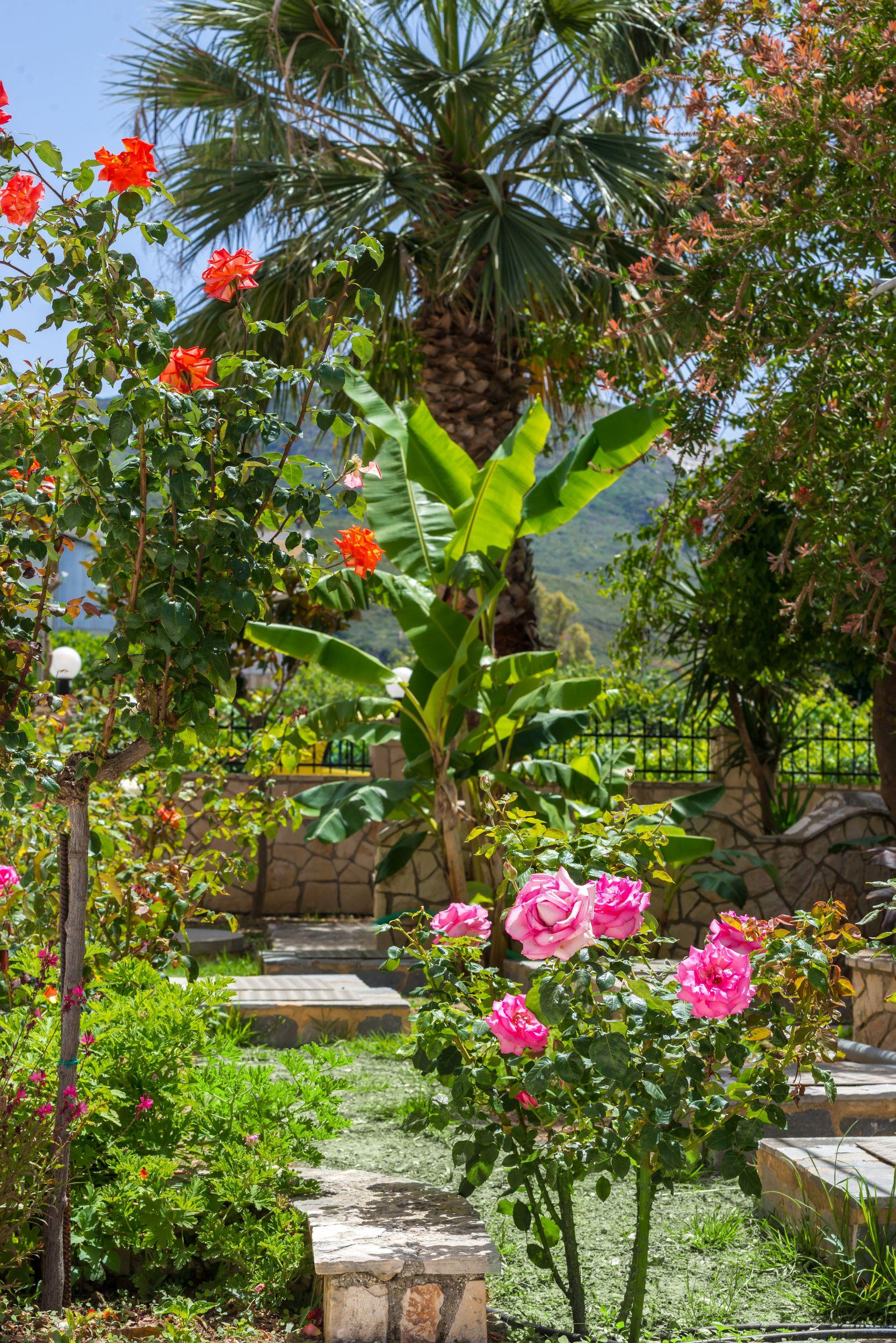 Athina Apartments Zakynthos Town Luaran gambar